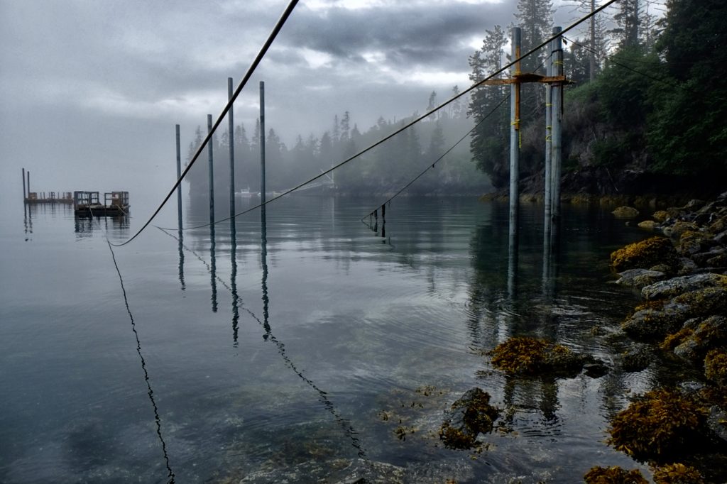 Across Kachemak Bay - Richard Krieger